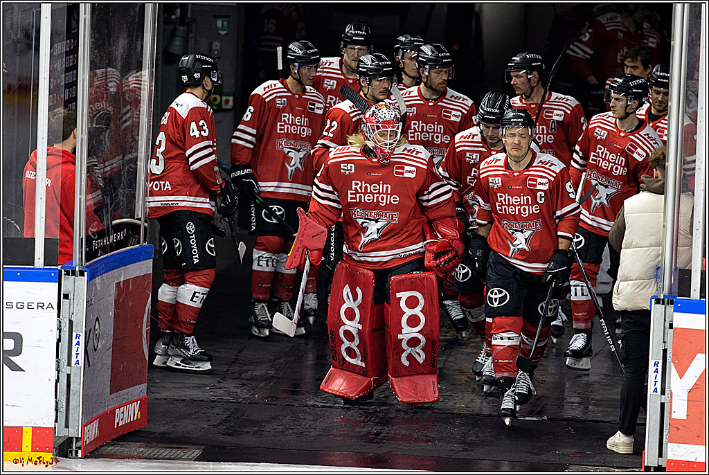 PENNY DEL;  Kölner Haie - Adler Mannheim; Köln, 04.11.2022